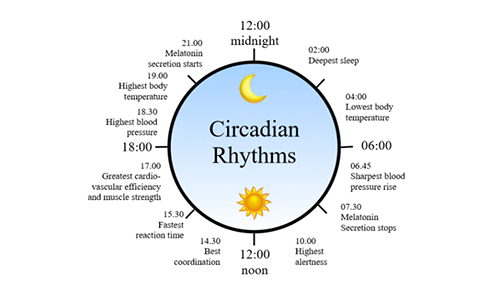 Circadian Rhythm-Aladdin Scientific