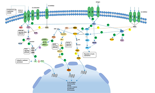 Signaling Pathways-Aladdin Scientific